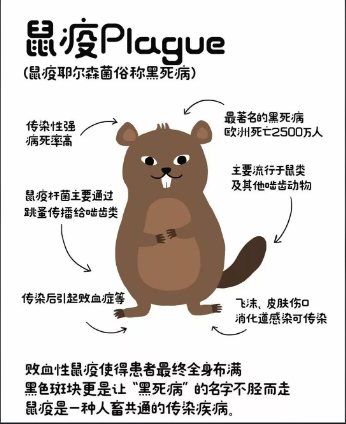 “女子買(mǎi)了100多張粘鼠板，一只老鼠也沒(méi)...